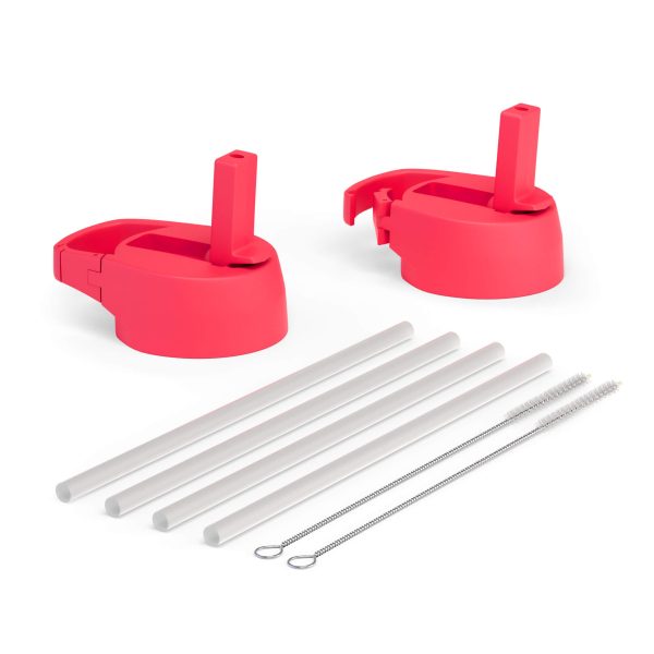 CarabinerStrawLidSetforWideMouthBottle_Fuschia.jpg